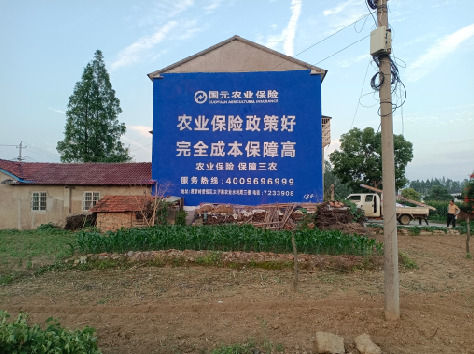 沐川墙体广告为何受追捧？